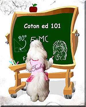 Coton de Tulear Education and Excellence